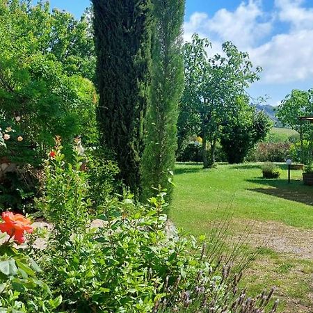 Chianti - Lovely Cottage With Parking & Garden! Castelnuovo Berardenga Exteriér fotografie