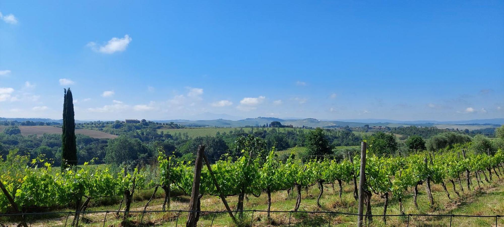 Chianti - Lovely Cottage With Parking & Garden! Castelnuovo Berardenga Exteriér fotografie
